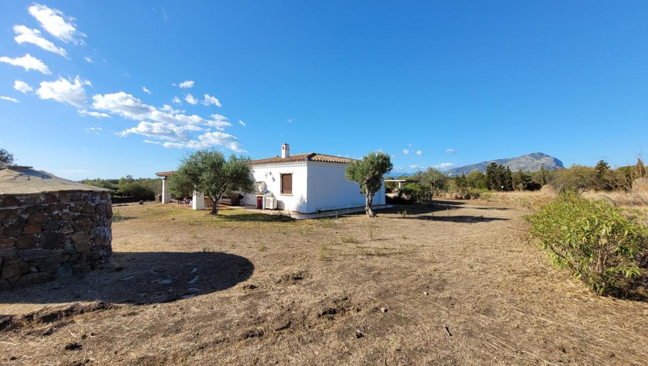 Villa Casa Mate Orosei Exteriör bild