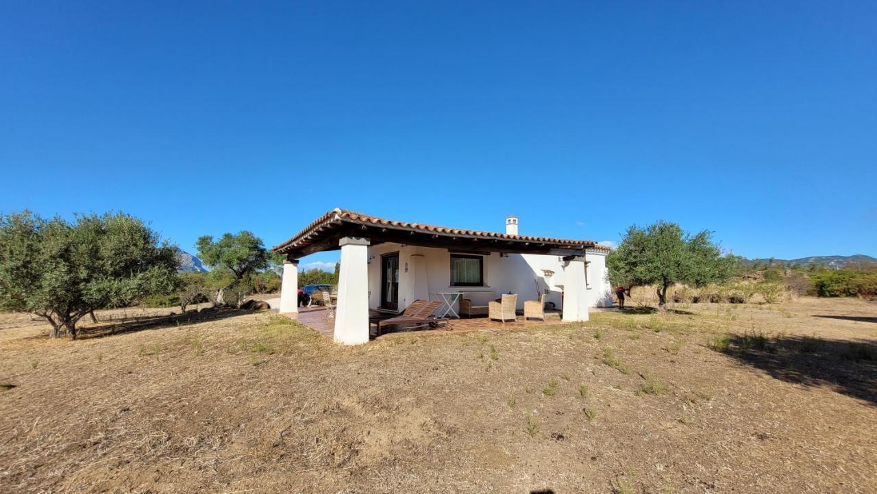 Villa Casa Mate Orosei Exteriör bild